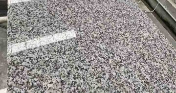 邯郸 芙蓉白光面