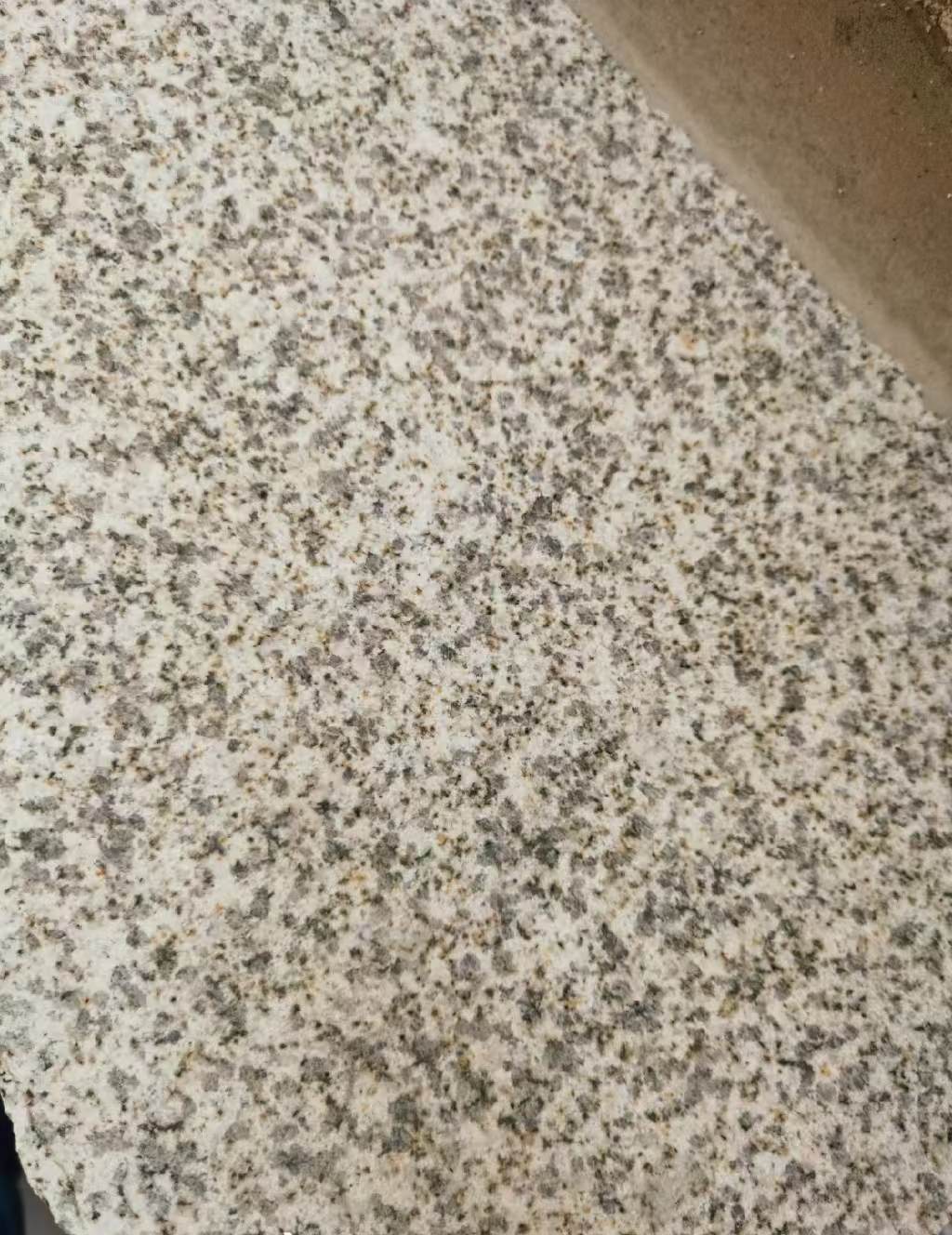邯郸 黄金麻中黄光面