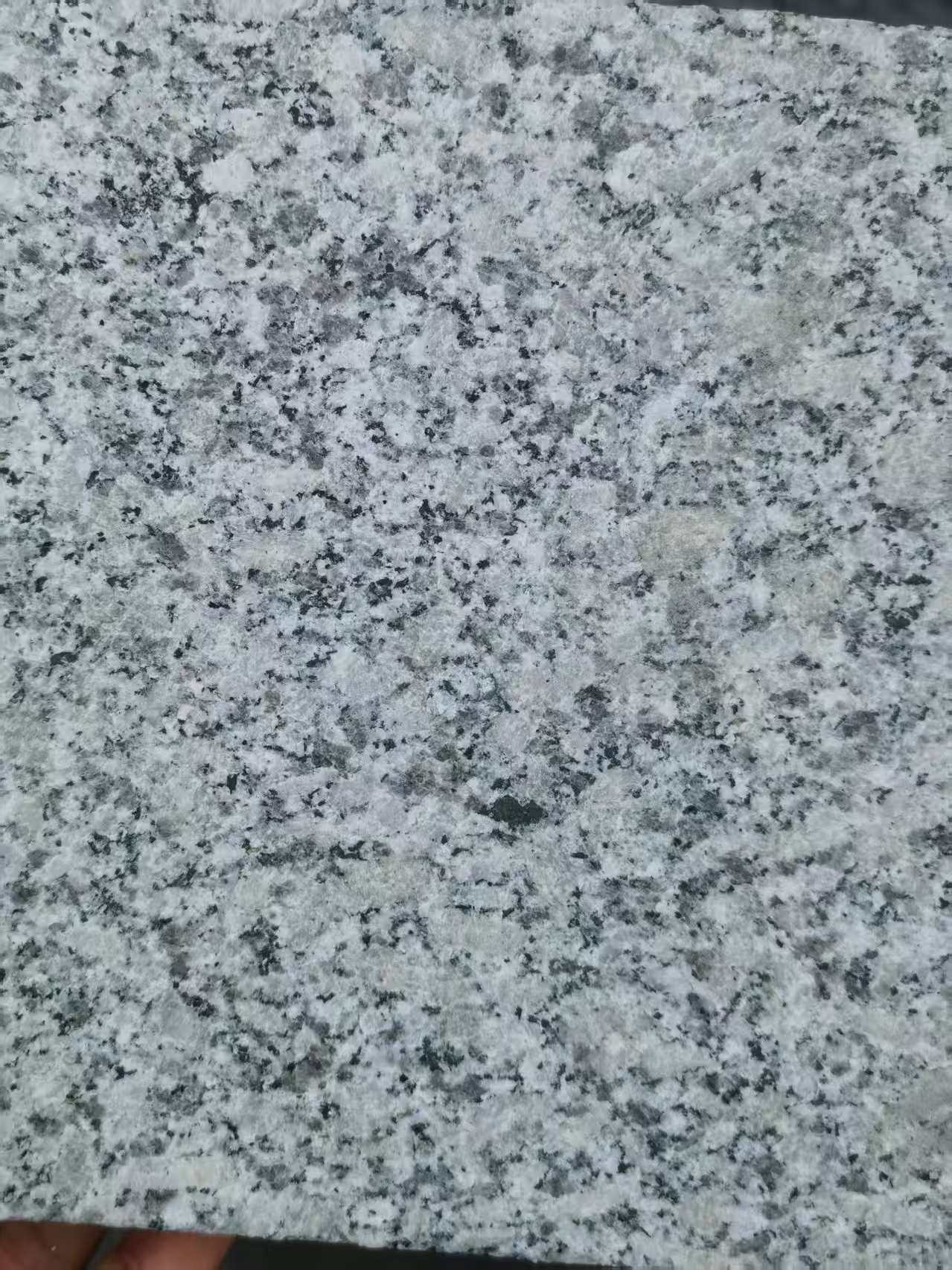 邯郸 芙蓉白火烧面