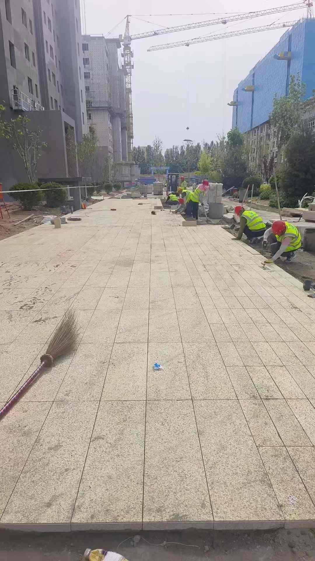 邯郸黄金麻荔枝面地铺案例